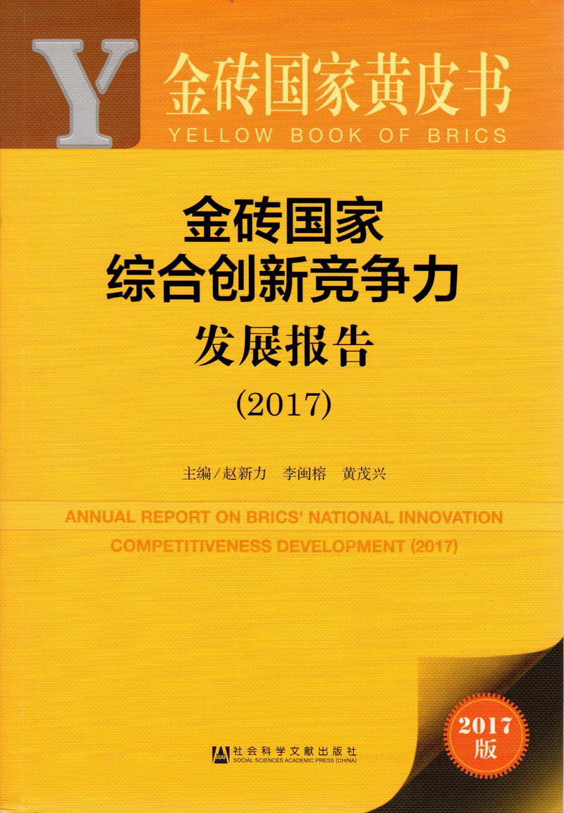 我要操B看免费视频金砖国家综合创新竞争力发展报告（2017）